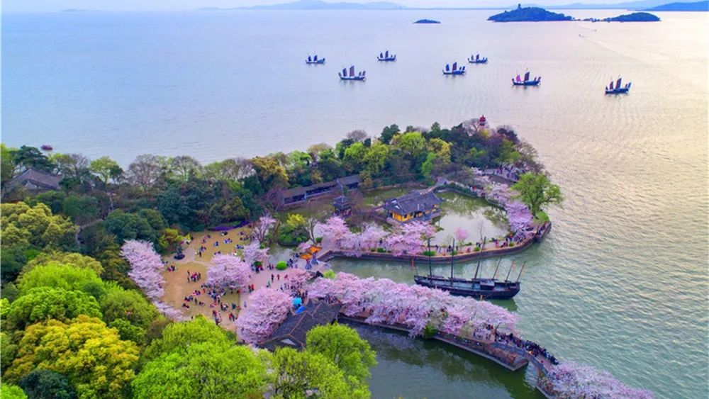 关于鼋头渚的美文鼋头渚樱花的美文美句