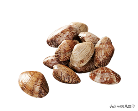“蒡”字怎么读？揭秘这种常见食材的正确发音