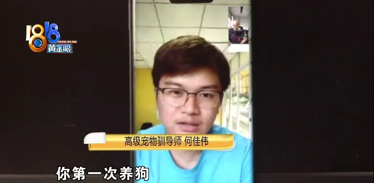 “柯基”头皮被撕咬,遛狗也要讲方法