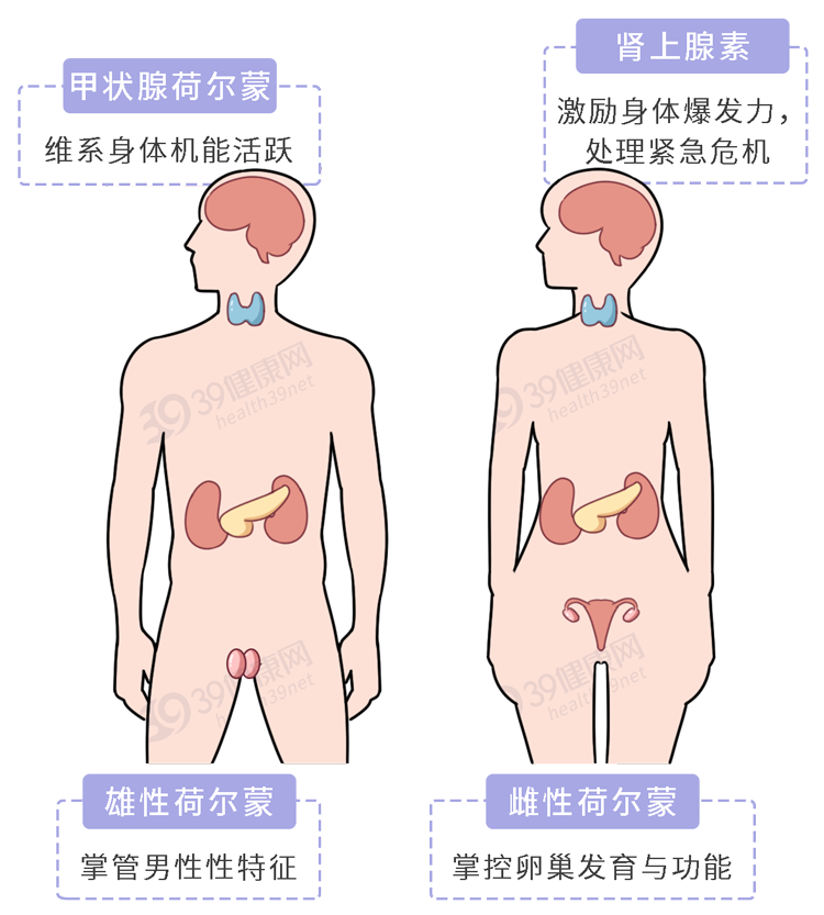 一闻就让人意乱情迷的“催情水”，真的存在吗？靠谱答案来了