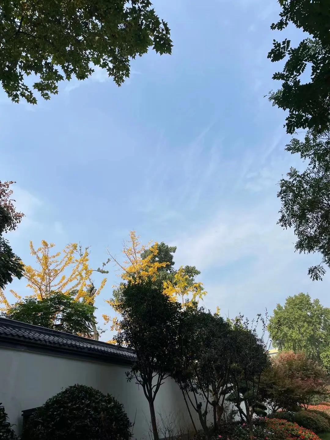 悟空问答:问答自媒体仅次于知乎的天花板,对新人很友好