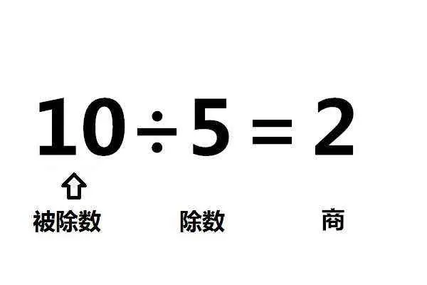 除数和被除数怎么区分（除数和被除数的位置）