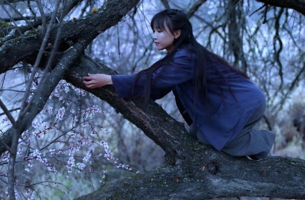 网红李子柒（李佳佳背景资料）怎么停止更新视频,资本手段背后有什么秘密?