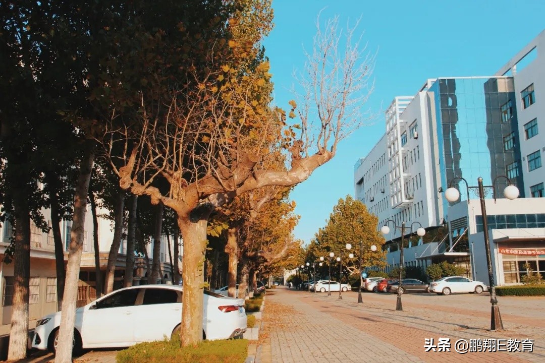 拾起一枚秋叶，点亮山东中医药高专的秋
