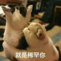 OPPO手机截屏还能这么玩？用了4年才知道，后悔没能早点知道