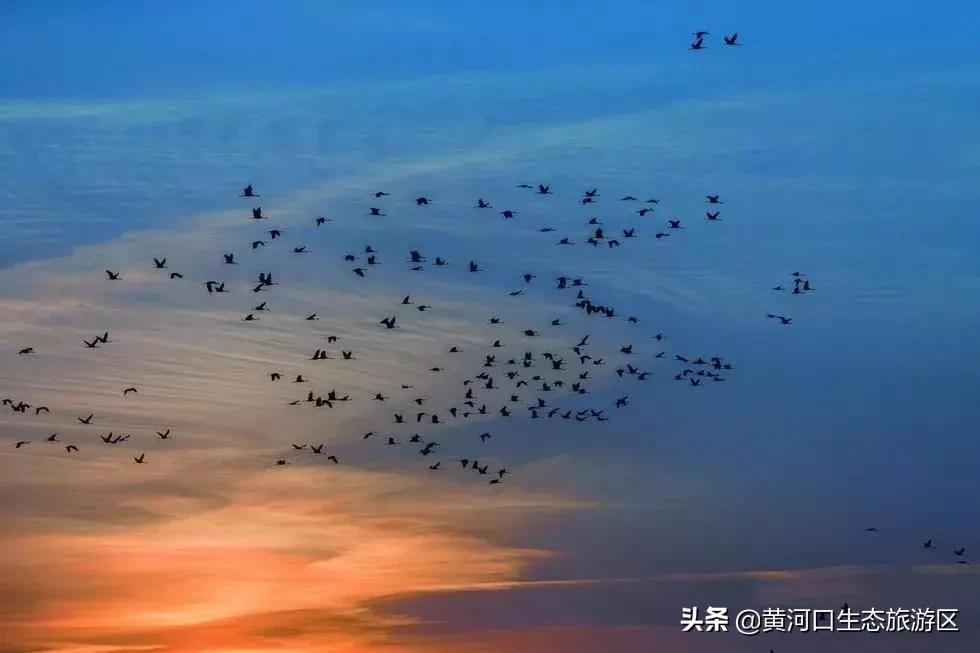 【黄河口生态旅游区】秋思黄河口