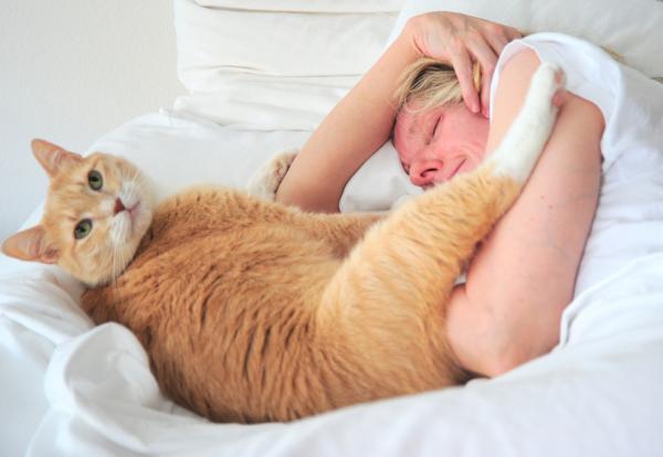 貓和你一起睡覺是有原因的！ 並不是他們有多喜歡你
