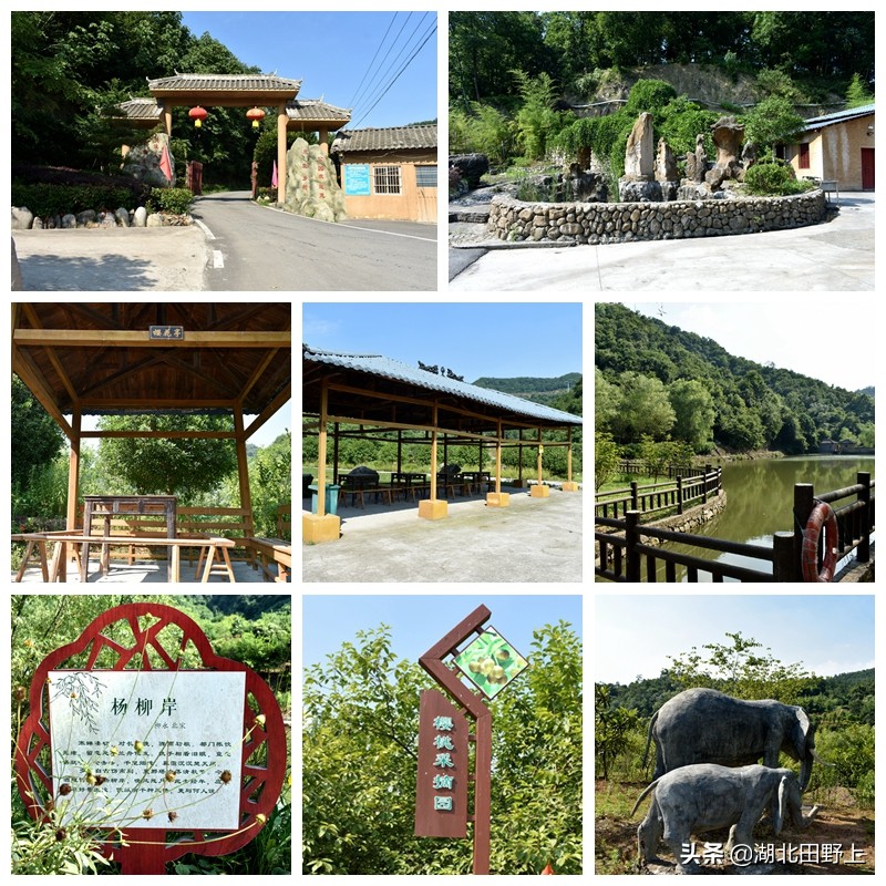 走进一个农旅产业大村——夷陵区黄花镇军田坝村