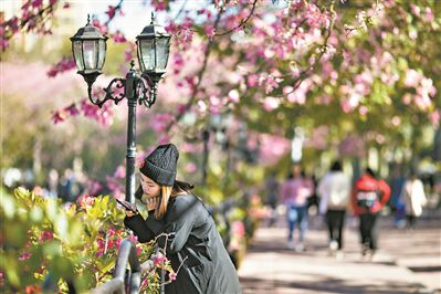 花开正好 静候晴天