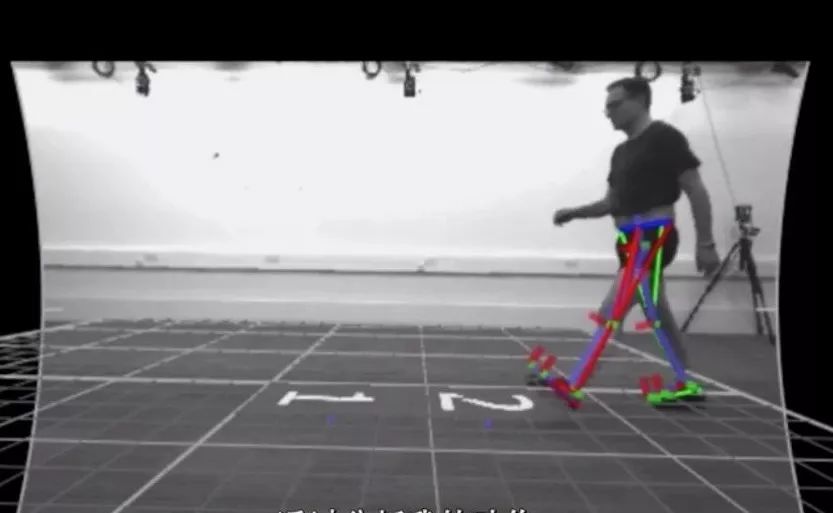 BBC 纪录片《健身的真相》：跑步不伤膝盖，散步才更伤