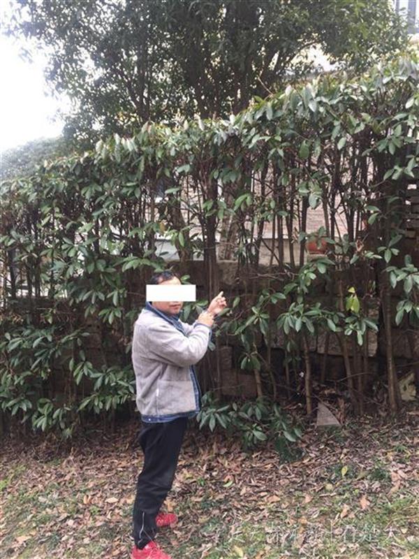 笨贼！欠债男子导航到别墅区“搞钱”，盗窃得手后却迷了路