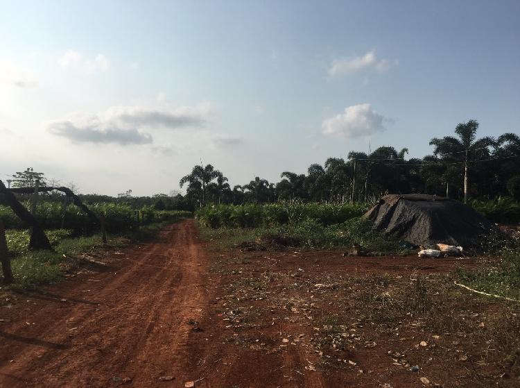 实探海南赛马｜民间赛马“执照”满天飞，其实有“马”的工商注册一律驳回