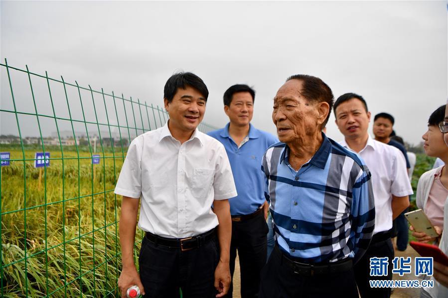 一颗稻谷里的爱国情怀——记“杂交水稻之父”袁隆平