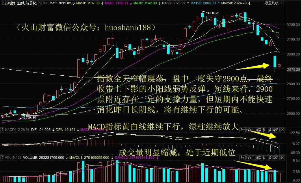 维维股份类似股票