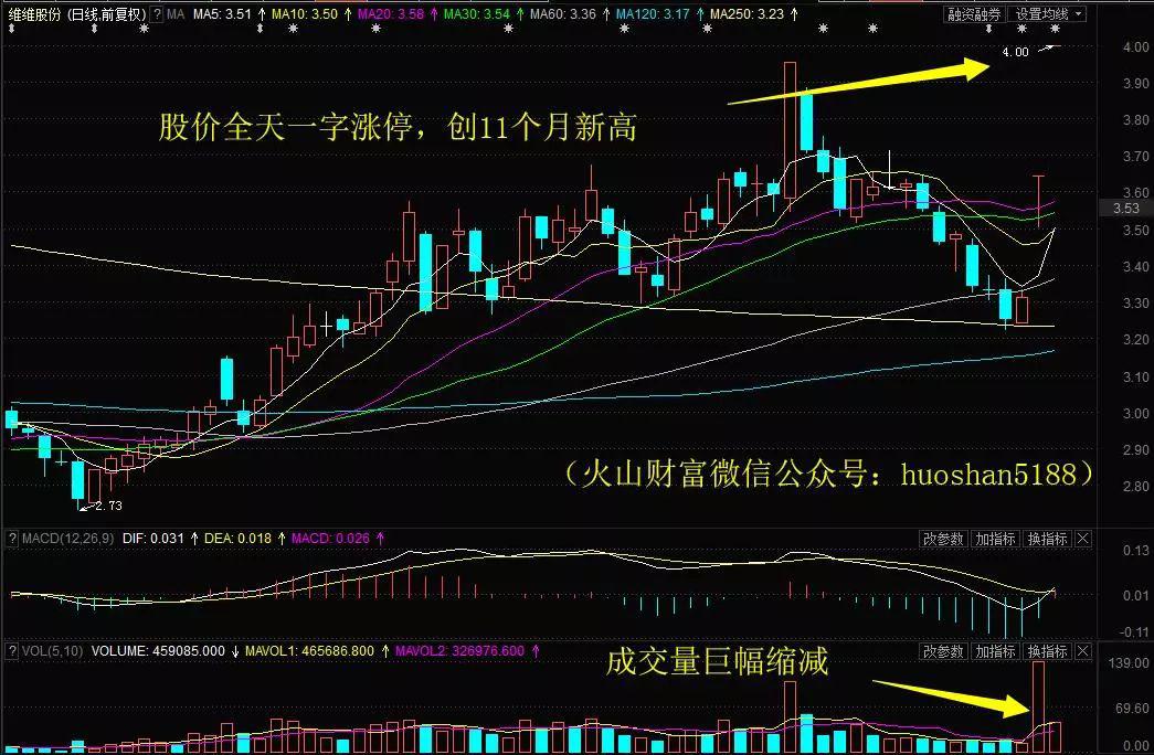 维维股份类似股票