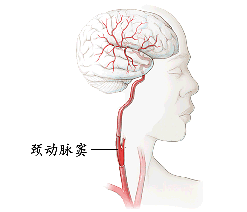 人跟蛇一样有致命"七寸"，这个地方千万别乱碰！