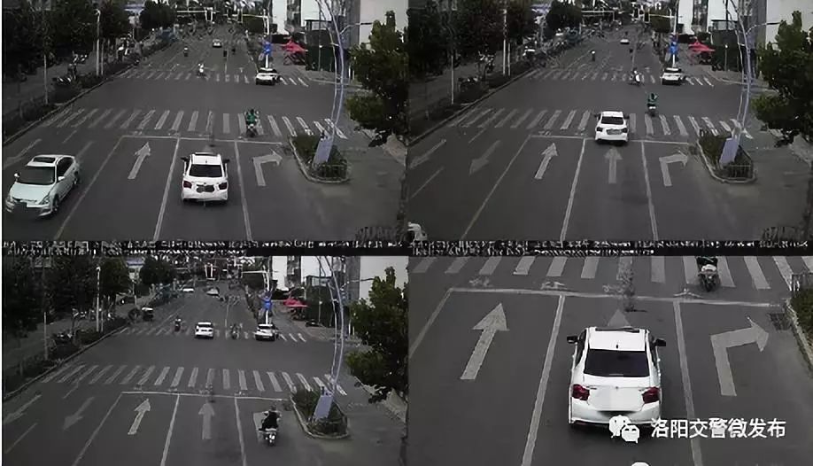 1301、1625、1345、1208、1039的含义你知道吗？洛阳交警权威解析！