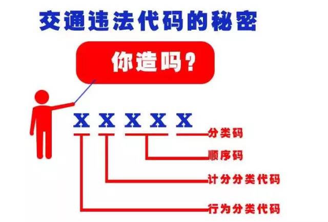 1301、1625、1345、1208、1039的含义你知道吗？洛阳交警权威解析！