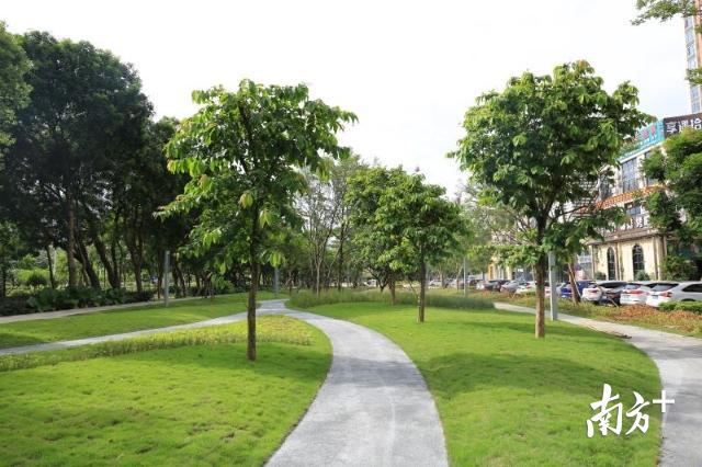 锦龙社区公园开园，坪山区已建成公园46个