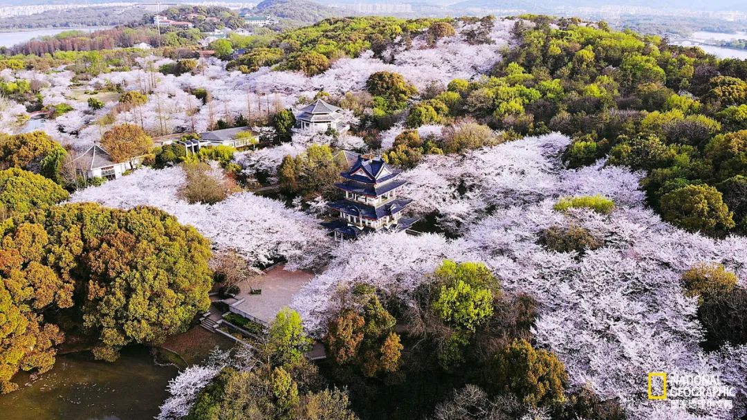 鼋头渚怎么读（图文）