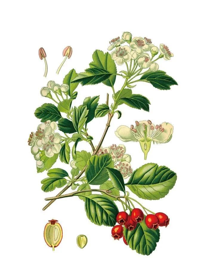 《湲》字读音及诗词中植物名探析

或者：

溪水潺潺湲字读音与古典诗词植物意象