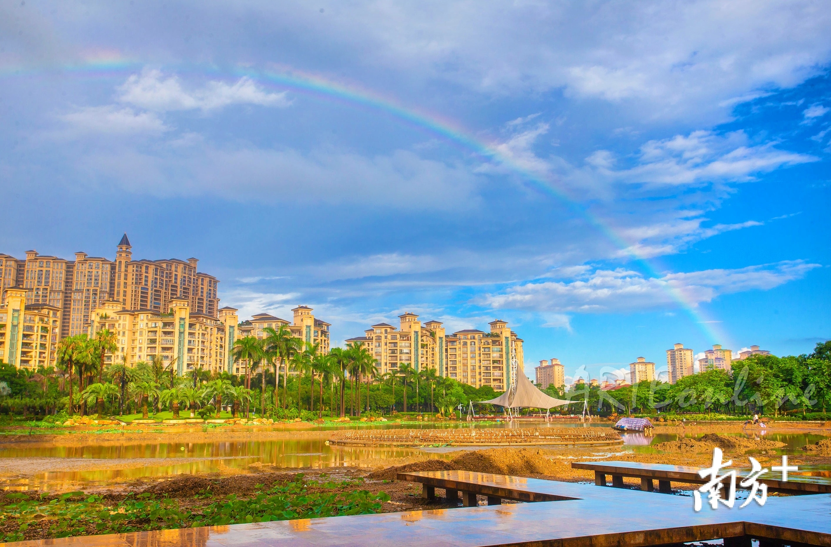 多图｜雨后佛山的“双彩虹”，他们拍到了