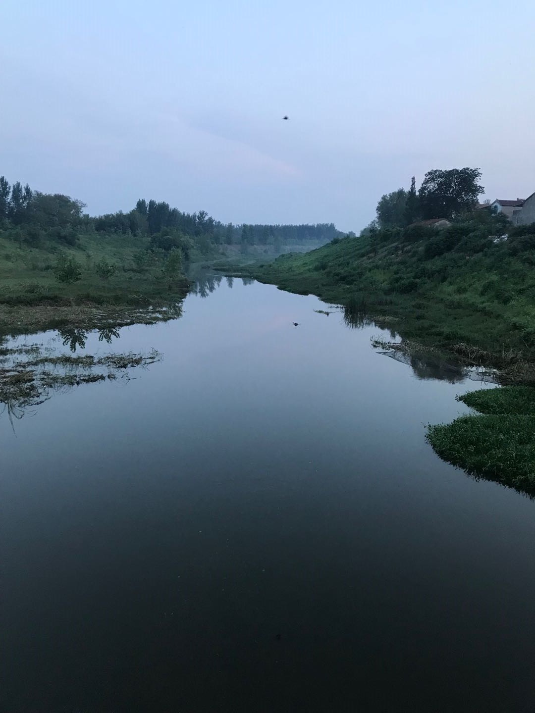 次第鸡鸣，翕纯皦绎，有伦有脊｜舒飞廉