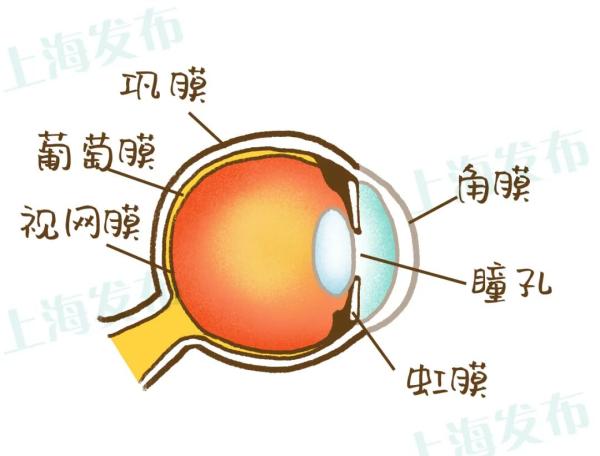 眼球“欺骗”了大脑，3D电影并不适合所有人