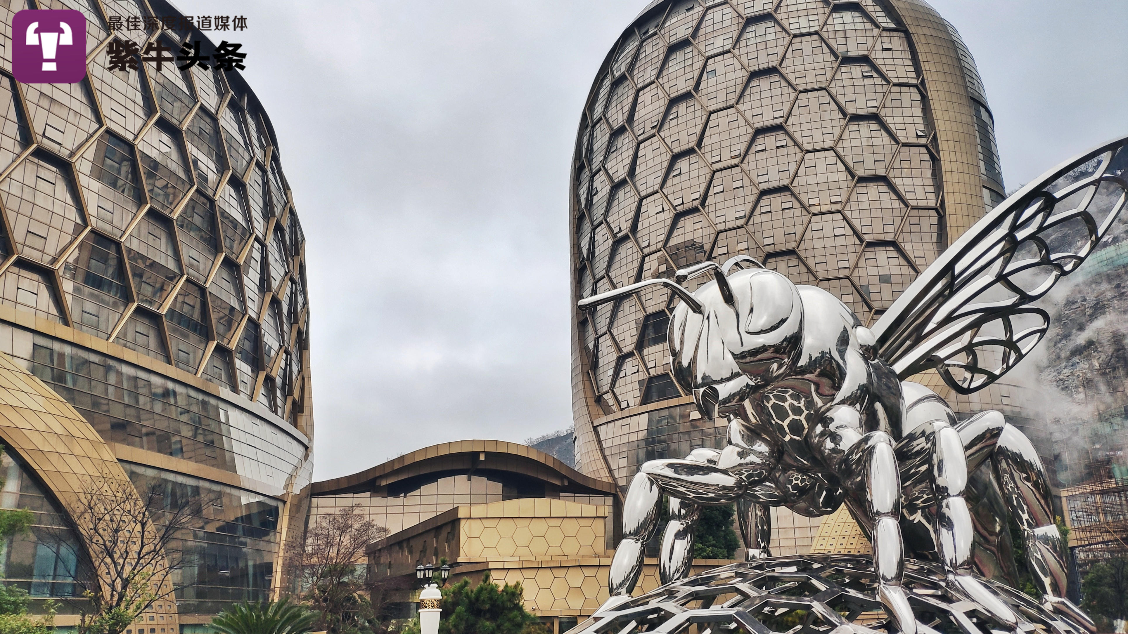 「紫牛头条」南京一酒店上榜2020"十大丑