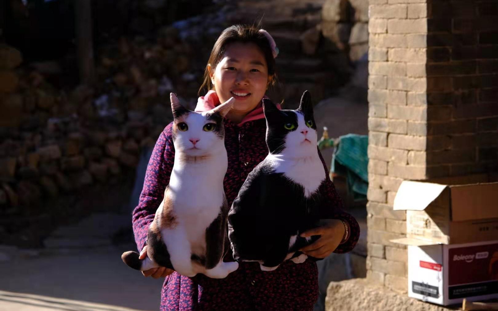 深山闲置搬迁村变身“猫村”百只流浪猫吸引万名游客来打卡