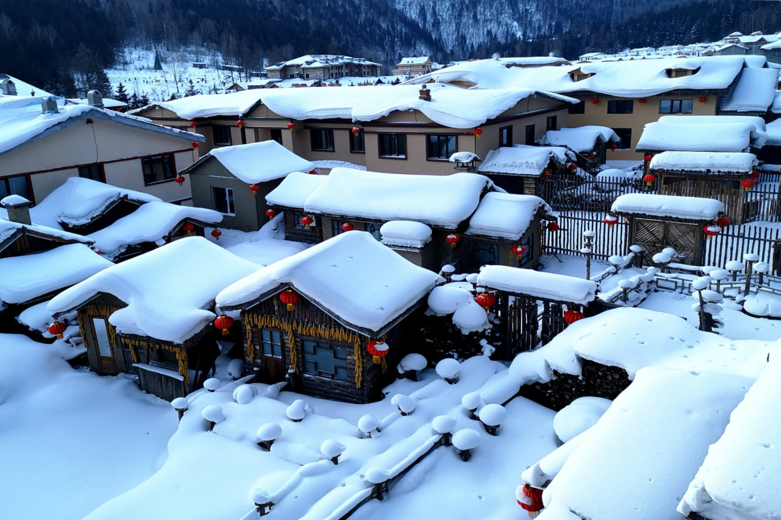 从畏雪到爱雪——中国东北角变冷为宝