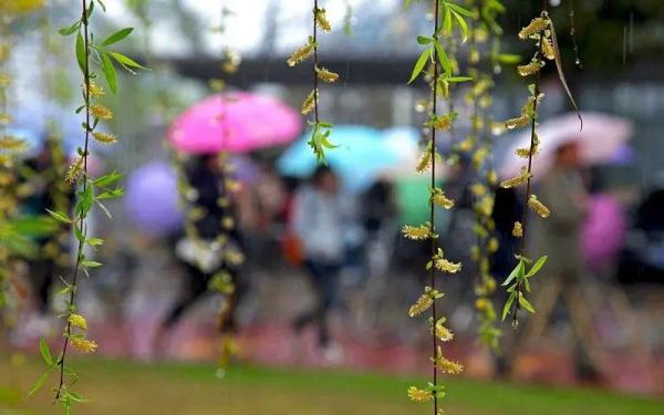 扩散丨雨夹雪、小雪要来了！银川、吴忠、中卫、固原全有