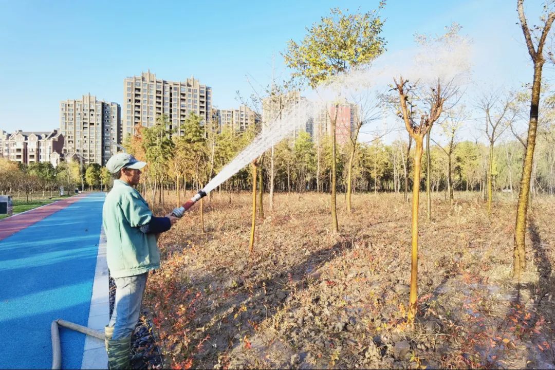 隐藏在城市里的微森林，华隆公园等你来打卡