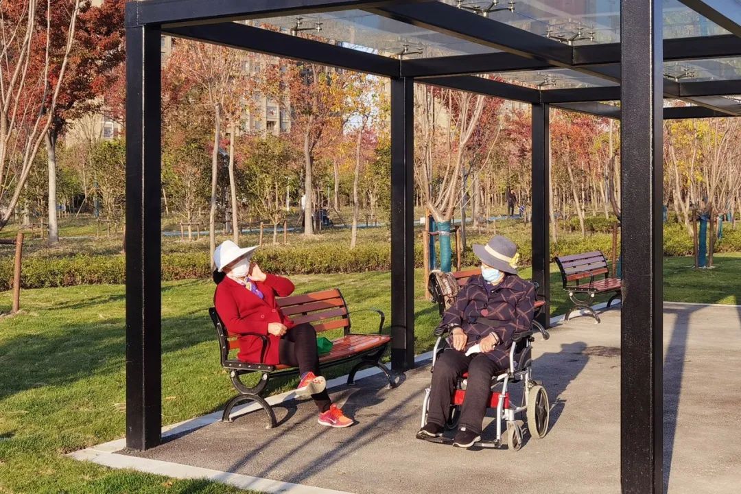 隐藏在城市里的微森林，华隆公园等你来打卡