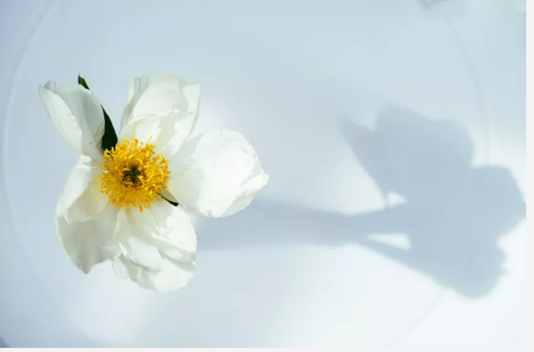 10�����˺�����Ĺ�ͨ���ɣ�������������