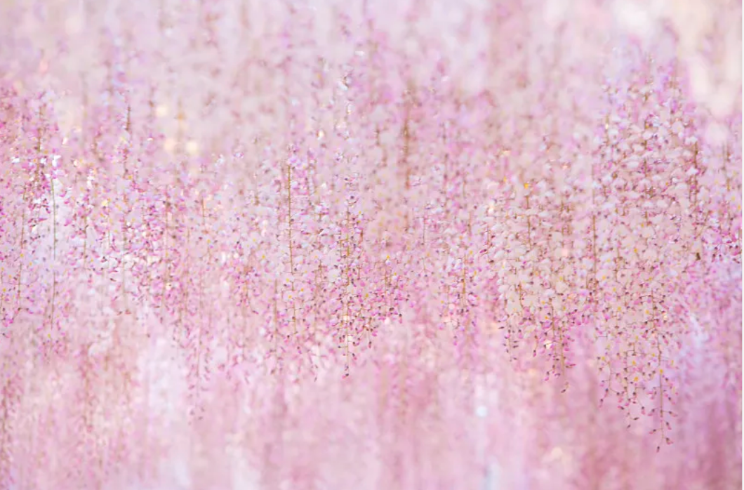 10�����˺�����Ĺ�ͨ���ɣ�������������