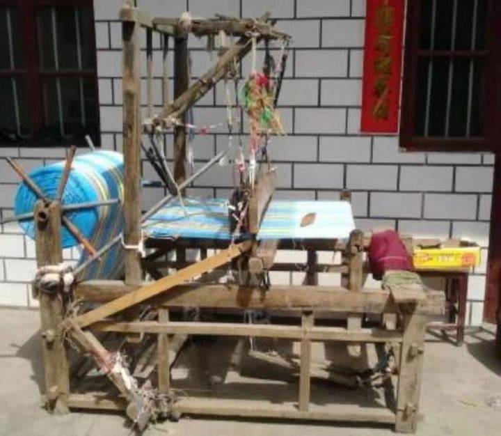 青未了｜唧唧声起忆祖母