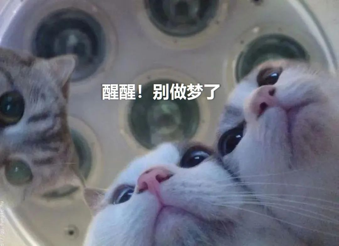 当我终于摇到了车牌号……