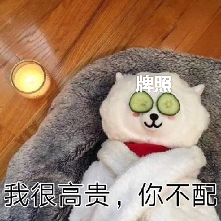 当我终于摇到了车牌号……