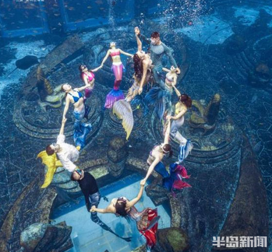 五连版聚焦丨挑战成功！半岛女记者游进吉尼斯，完成世界最大规模水下人鱼秀！背后故事揭秘