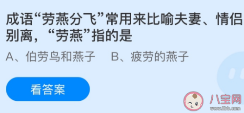 劳燕分飞是什么意思劳燕指的是什么 劳燕分飞典故介绍