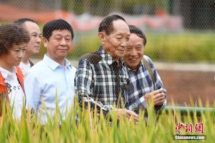 “杂交水稻之父”袁隆平逝世 一生为“两个梦想”奋斗