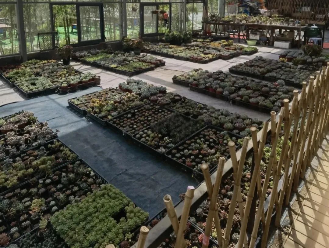 给小孩准备六一儿童节礼物（六一儿童节到了同学们都在庆祝节日）