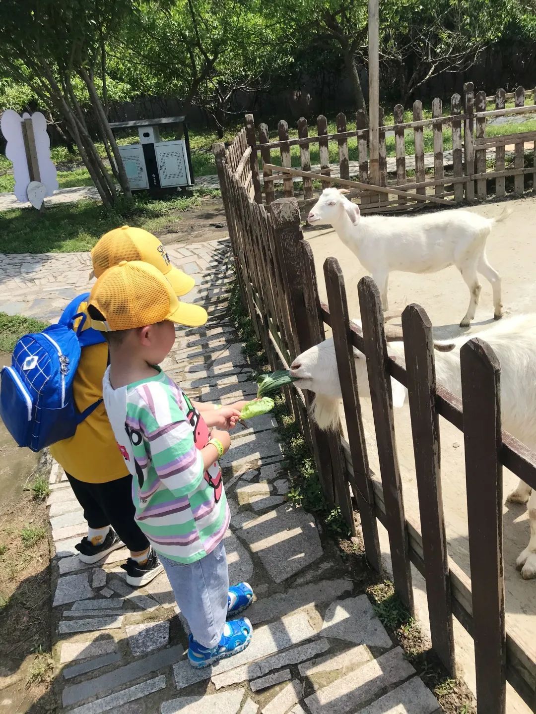 给小孩准备六一儿童节礼物（六一儿童节到了同学们都在庆祝节日）