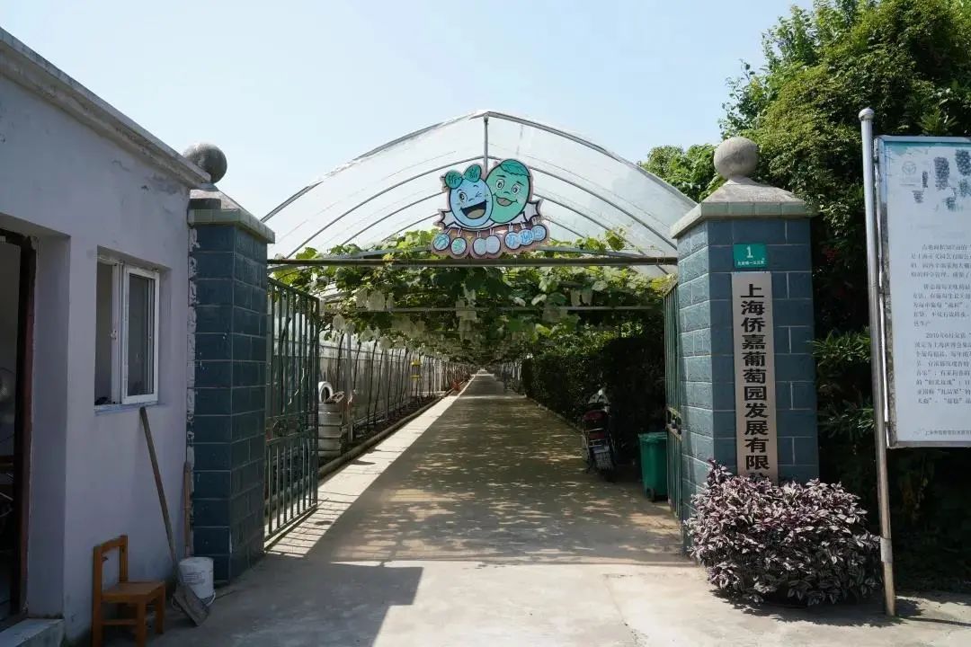 给小孩准备六一儿童节礼物（六一儿童节到了同学们都在庆祝节日）