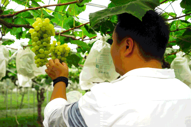 给小孩准备六一儿童节礼物（六一儿童节到了同学们都在庆祝节日）