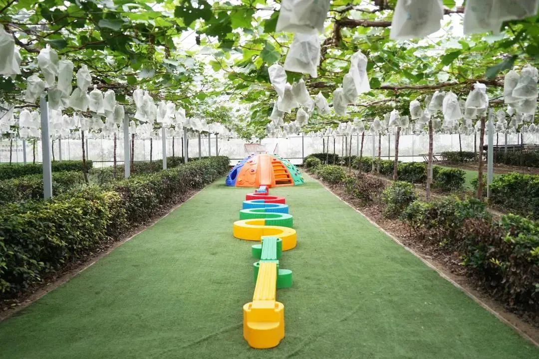 给小孩准备六一儿童节礼物（六一儿童节到了同学们都在庆祝节日）
