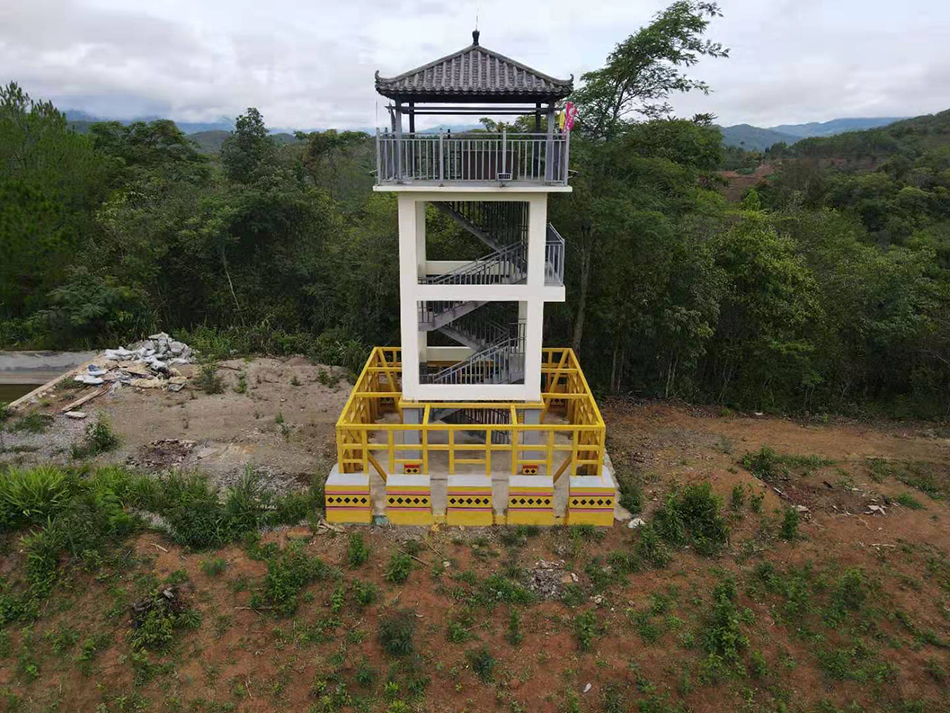与象为邻①｜监测员与“断鼻家族”第一次邂逅：人象都拔腿就跑