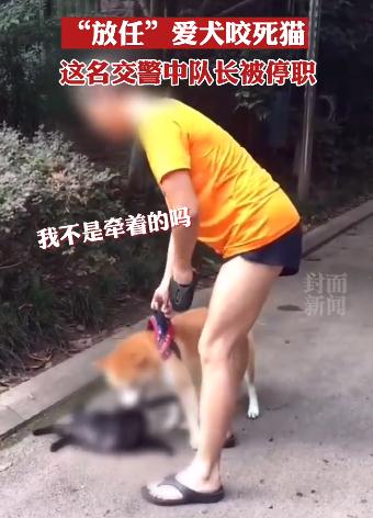 眼睁睁看着自家狗咬死猫咪，四川一交警被停职