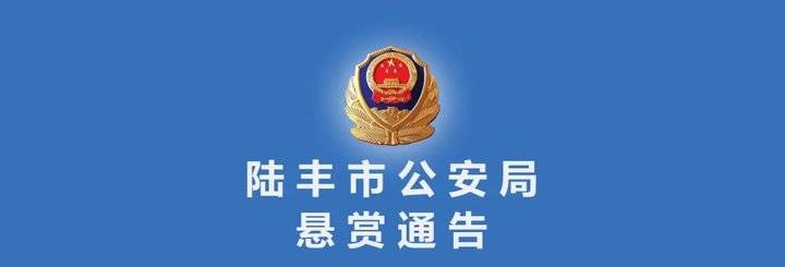 光伏板安装-快手买赞网址低价,小拽网络自助下单